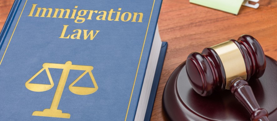 депортация из стран шенгена - подать апелляцию